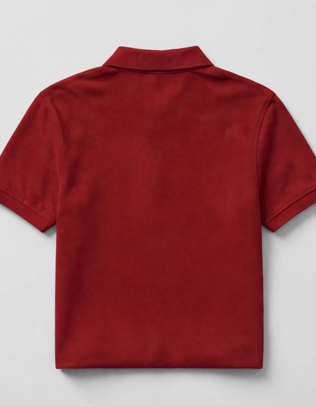 Men's Polo T-shirt | Brick Red |